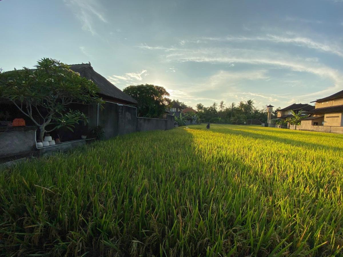 Rumah Dadong Ubud Esterno foto
